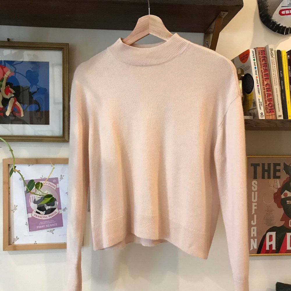 Everlane The Cashmere Crop Mockneck